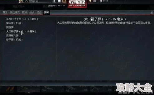 战争雷霆高空战子弹伤害攻略：精选弹药种类与射击技巧提升战斗胜率